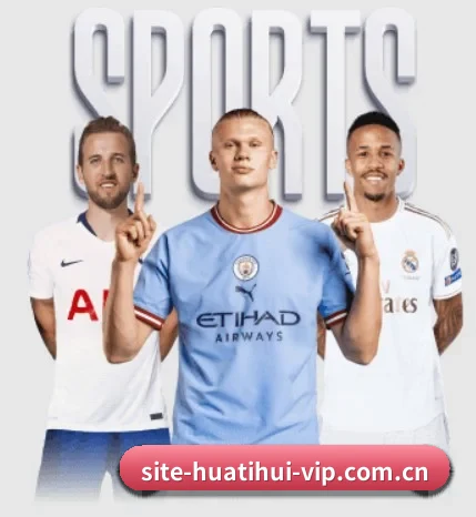 极简导航逻辑,高阶数据与专栏查询一步直达